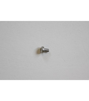Huntingdon Glass Screw - SH51