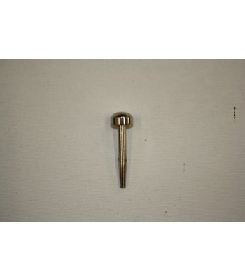 Chrome Hinge Pin Tiger Inset Stove
