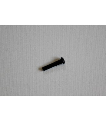 Stockton Door Hinge Pin SM20